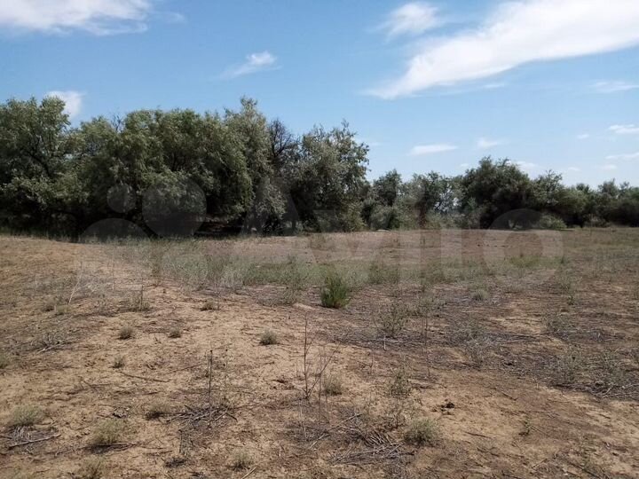 Участок 8 сот. (ИЖС)