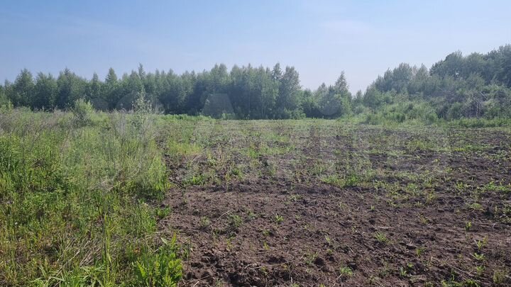 Участок 12 сот. (СНТ, ДНП)