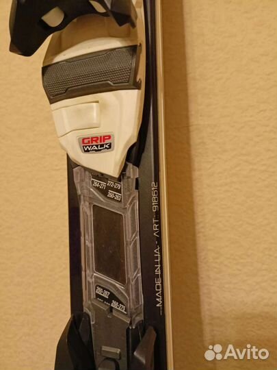 Горные лыжи