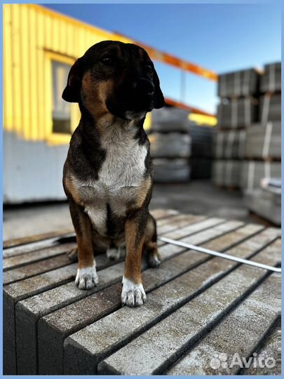 Тротуарная плитка заказ от 120 м2