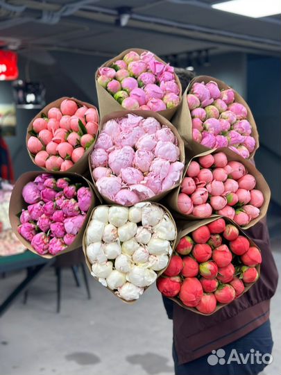 Пионы букеты из пионов