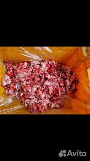 Мясо для собак,говяжьи субпродукты