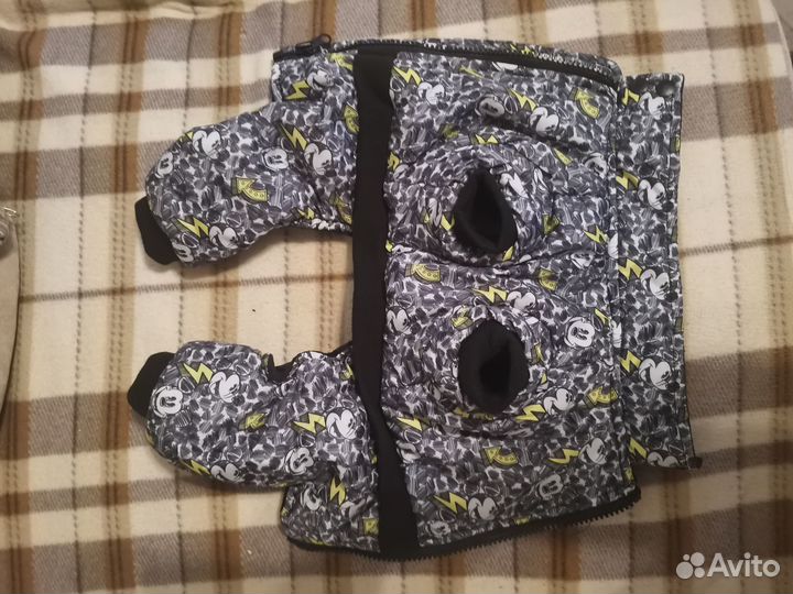 Одежда для собаки