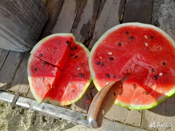 Бурение скважин на воду под ключ
