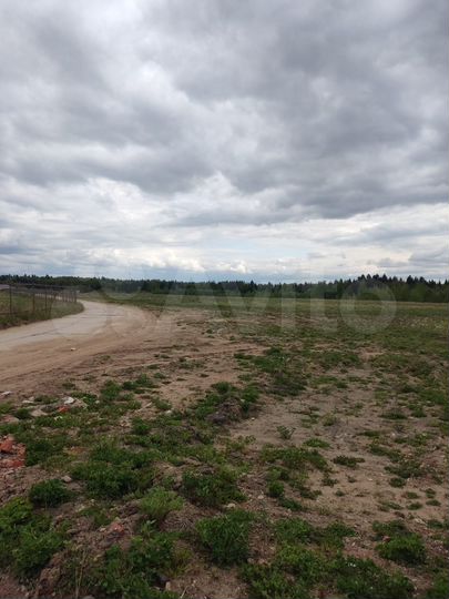 Участок 23 га (СНТ, ДНП)