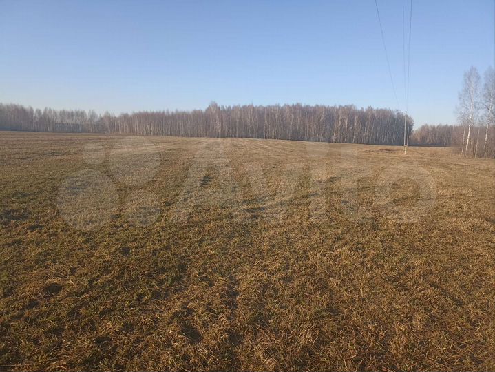 Участок 3,4 га (СНТ, ДНП)