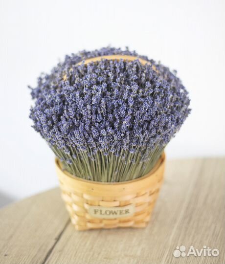 Лаванда в корзине