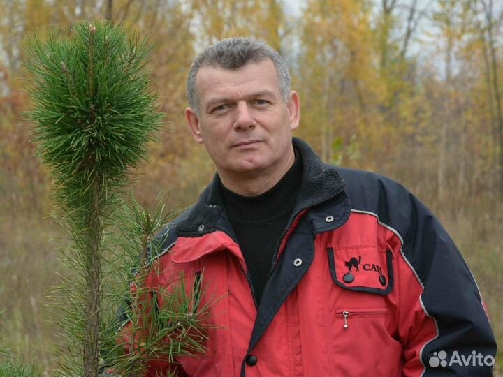 Ремонт холодильников Стиральных Машин Посудомоек