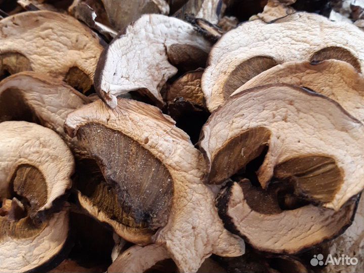 Белый гриб сухой