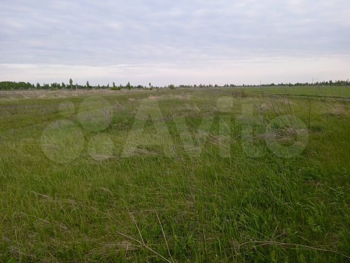 Участок 5,1 га (СНТ, ДНП)