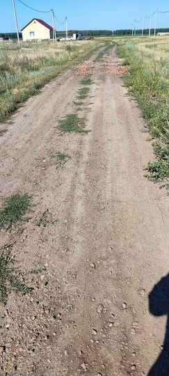 Участок 14,5 сот. (ИЖС)