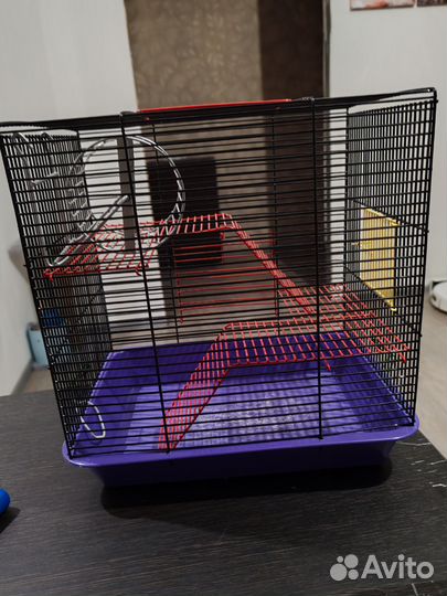 Клетка для хомяка бу
