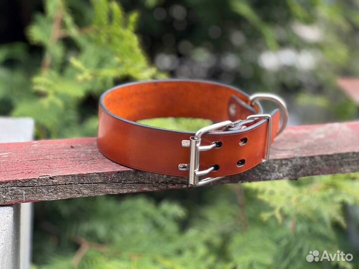 Ошейник для собак