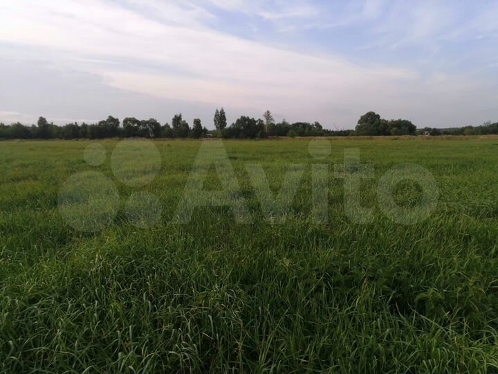 Участок 1,98 га (ИЖС)