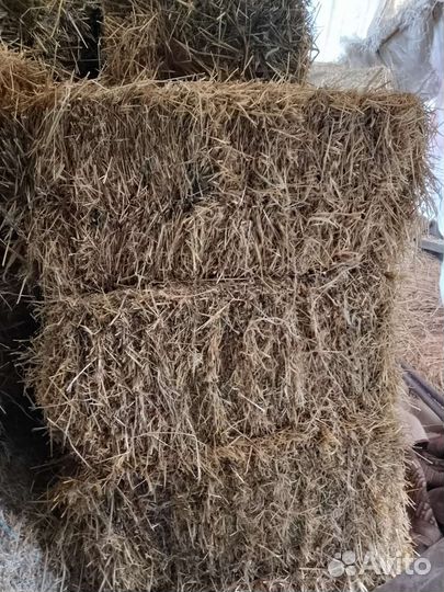 Сено в тюках, солома