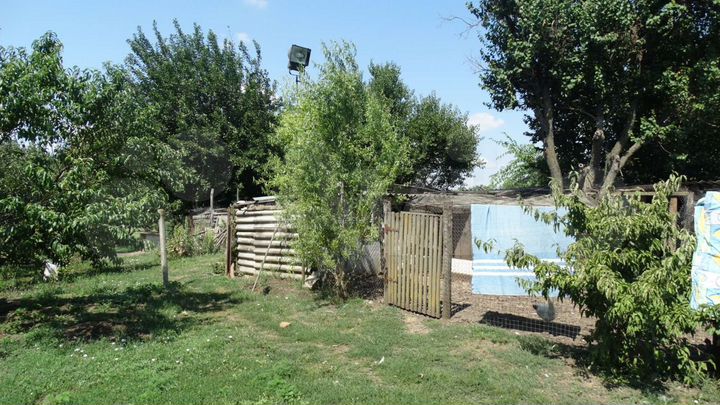 Дом 60 м² на участке 40 сот.