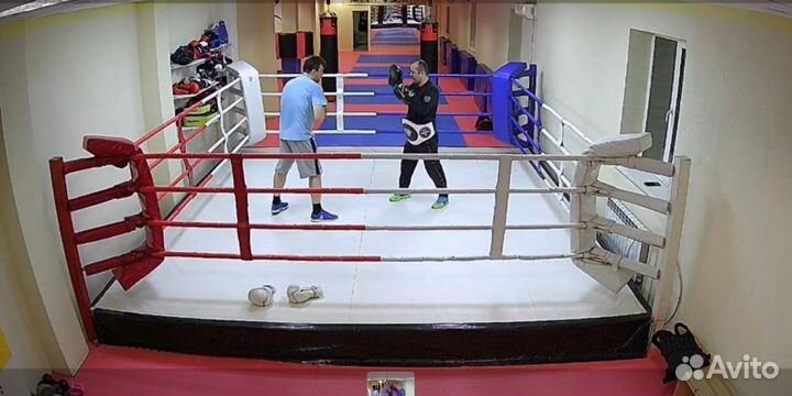 Ринг боксерский и для единоборств