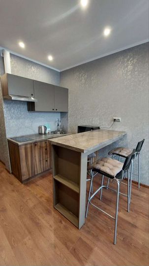 Квартира-студия, 24 м², 8/9 эт.