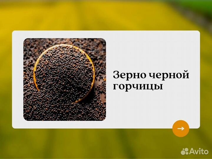 Чёрная горчица (кг)