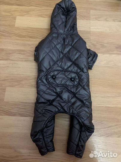 Комбинезоны для маленькой собаки