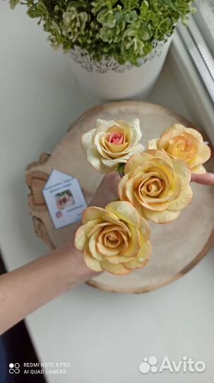 Цветы. Тюльпаны. Розы. Ложка. Чай. Кофе