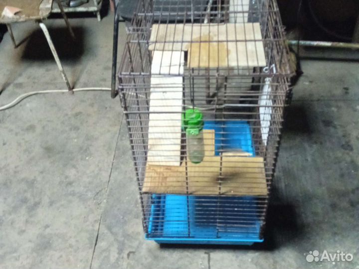 Клетка для шиншиллы бу