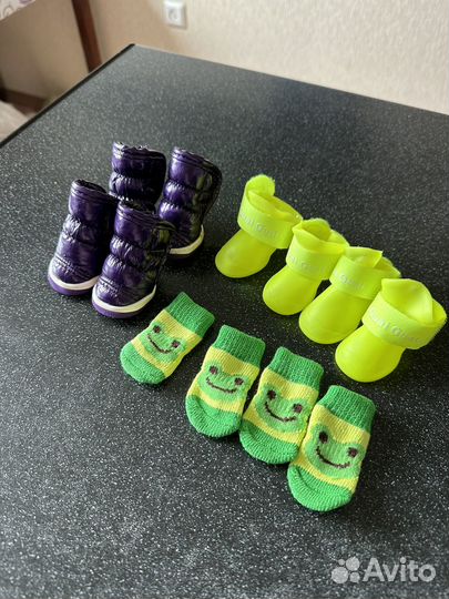 Обувь и носки для собак