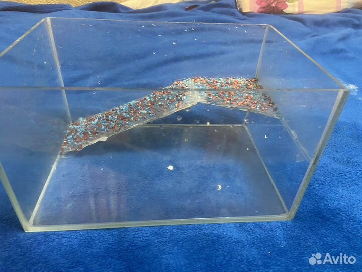 Аквариум для красноухой черепахи