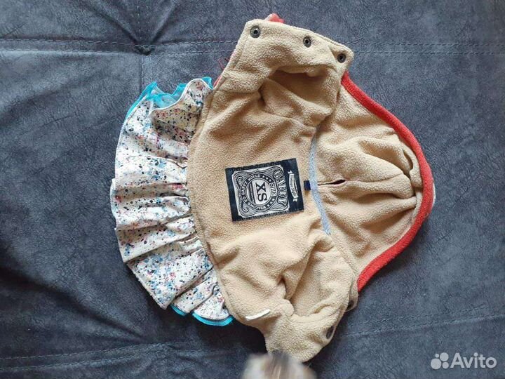 Одежда для маленьких пород собак