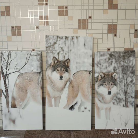 Модульная картина Волки
