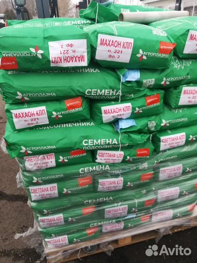 Семена подсолнечника гибрид