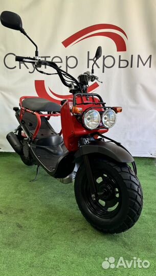 Honda Zoomer (Только с Японии)