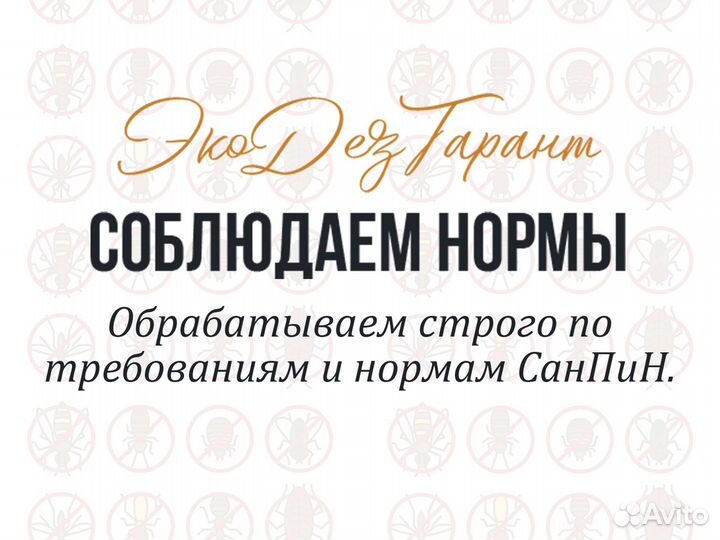 Уничтожение насекомых