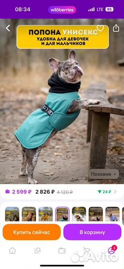 Попона для собак