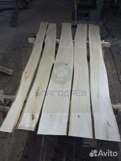 Необрезная доска липа 3 сорт термо