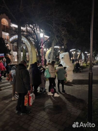 Белый мишка поздравление медведь аниматор