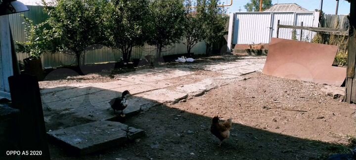 Дом 30 м² на участке 11 сот.