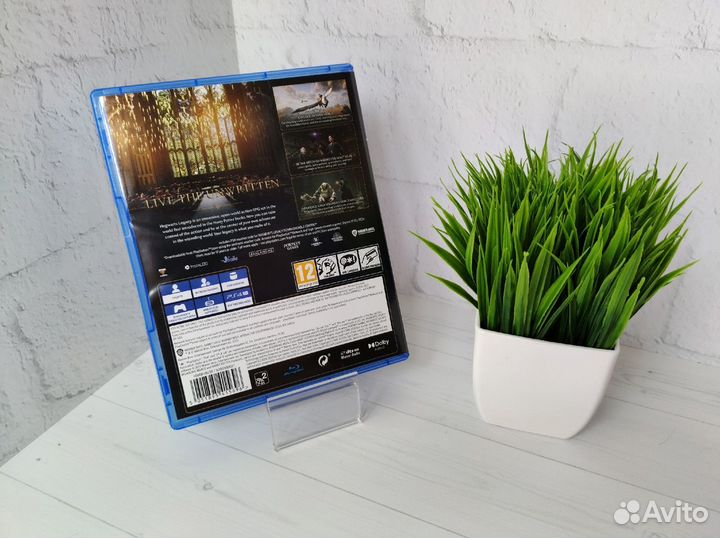 Аренда Игры Hogwarts Legacy для PS4 и PS5