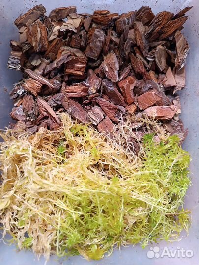 Грунт для орхидей