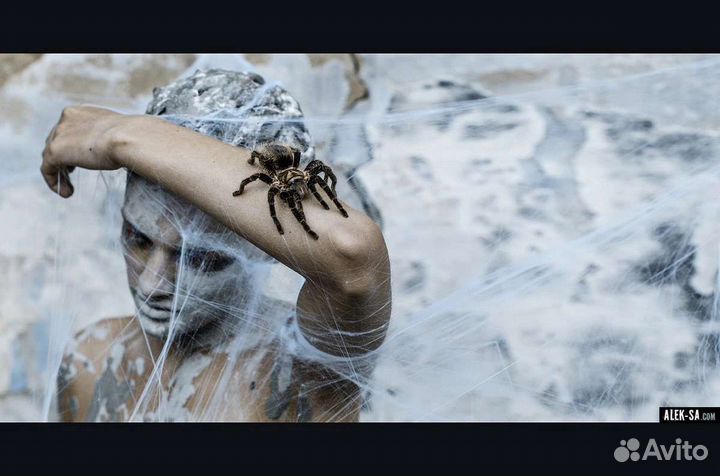 Паутина искусственная