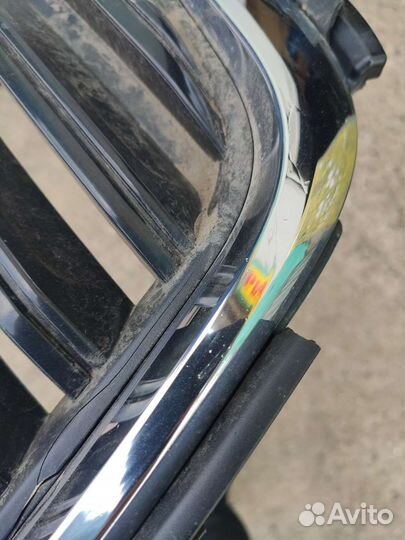 Молдинг решетки радиатора Skoda Octavia A8