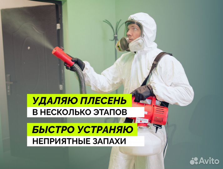 Уничтожение плесени, крыс, тараканов, клопов