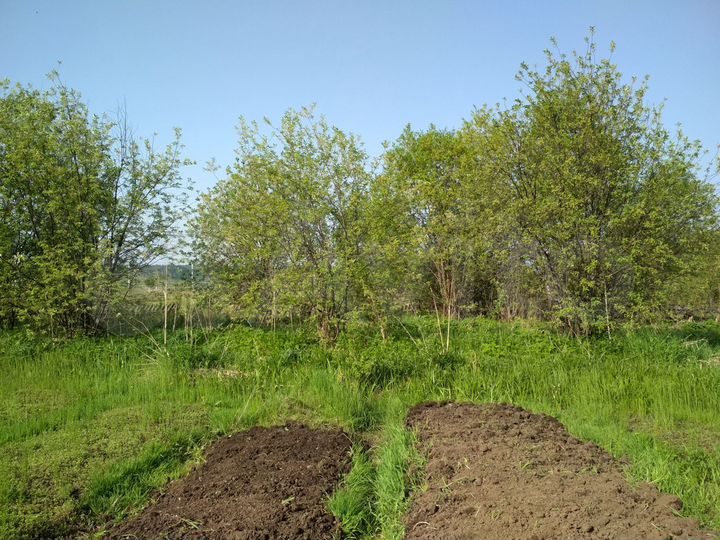 Дом 64 м² на участке 25 сот.