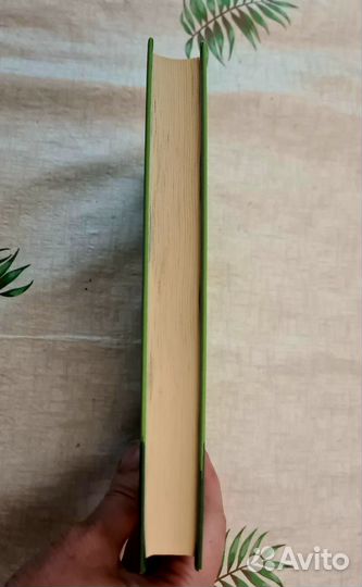 Книга для подростков. Венеция не в Италии