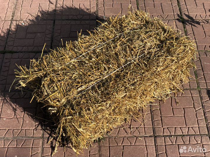 Сено в тюках для Декора, Животных и Мульчирования