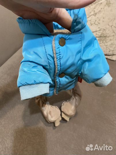 Одежда для собак