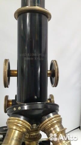 Микроскоп Bausch Lomb USA Аренда