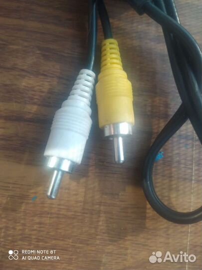 Тюльпаны провода