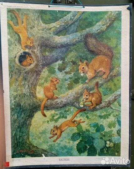 Плакат учебное пособие для детей. СССР, 70г