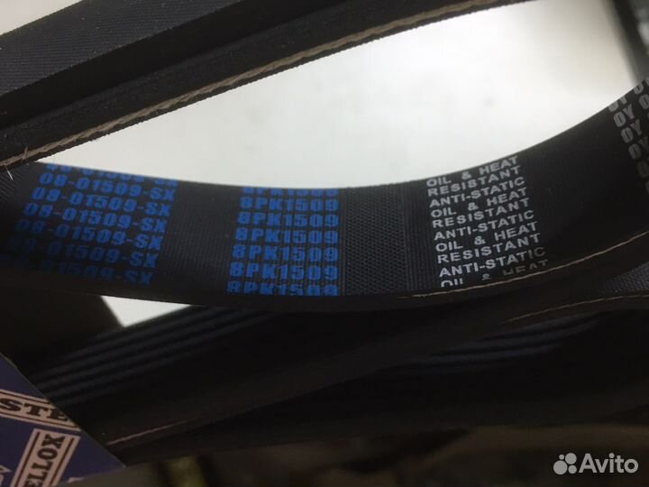 Ремень поликлиновой, 8PK1509, 124 без кондиционера